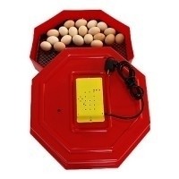 Incubator electric Cleo 5