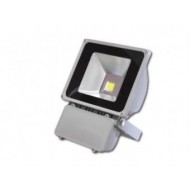 Proiector cu LED de 70W metalic